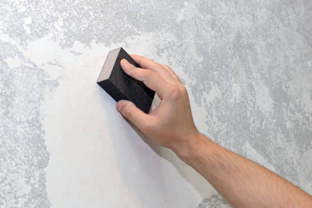 Best Post-Construction Mold Inspection  in Hightstown, NJ