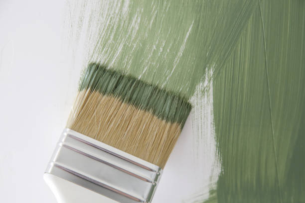  Hightstown, NJ Mold Removal Pros