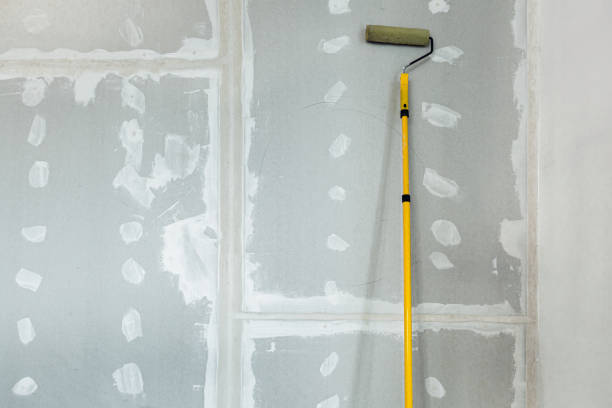 Mold Removal for HVAC Installations in Hightstown, NJ