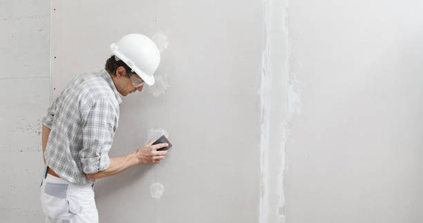 Best Forensic Mold Investigation  in Hightstown, NJ