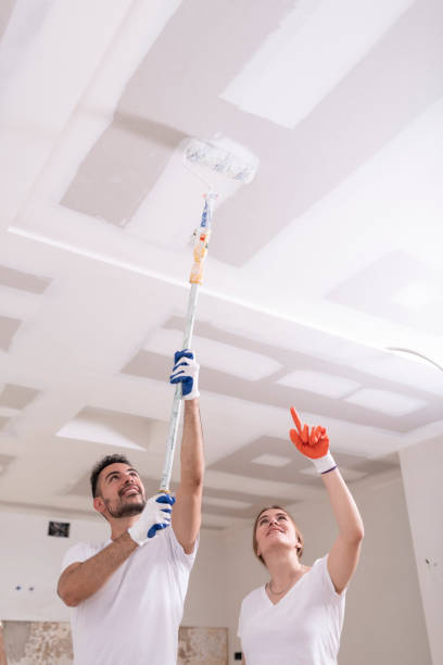 Best Attic Mold Removal  in Hightstown, NJ